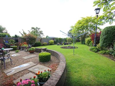 Picture 21